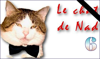 Chat transsexuel avec photos